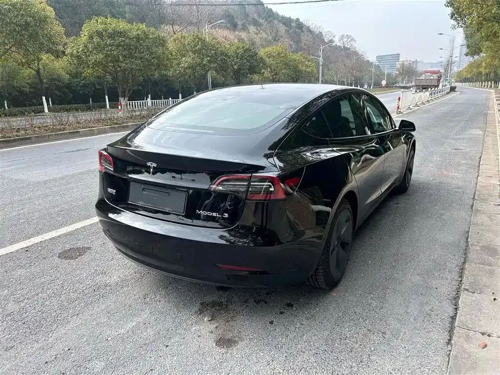 Tesla Model 3 2021 из CN, фото 5
