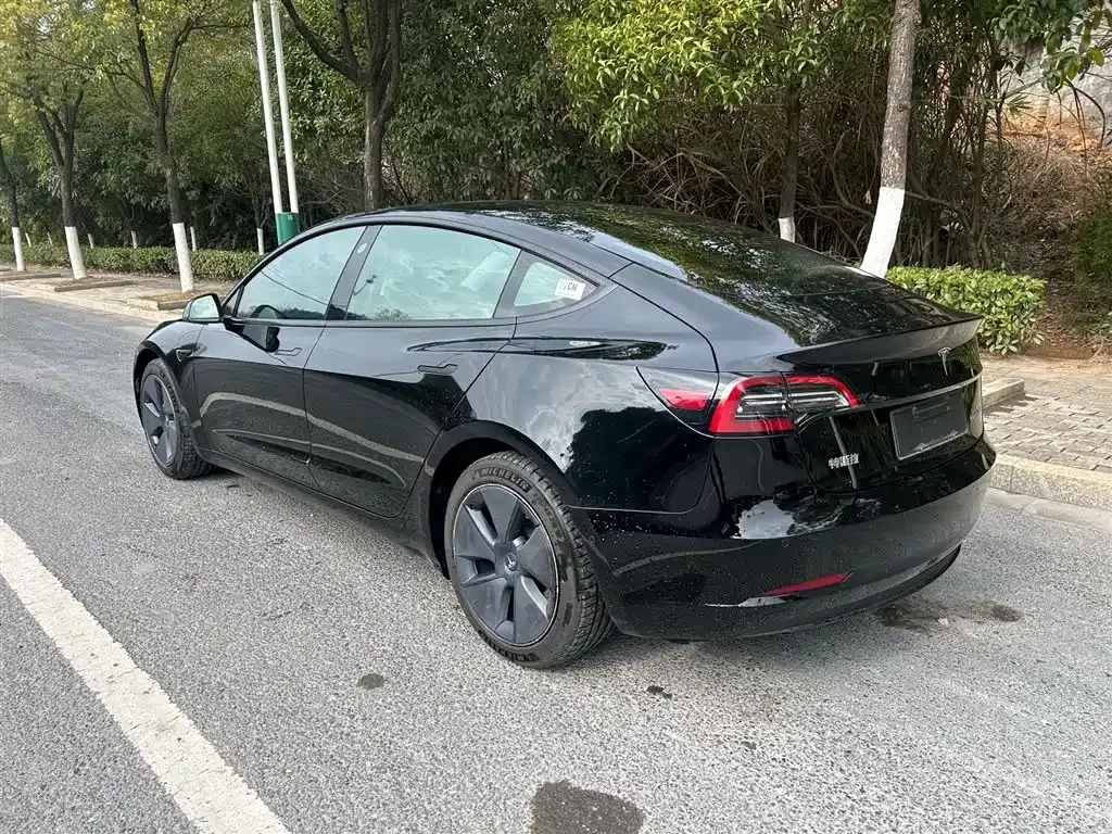 Tesla Model 3 2021 из CN, фото 7