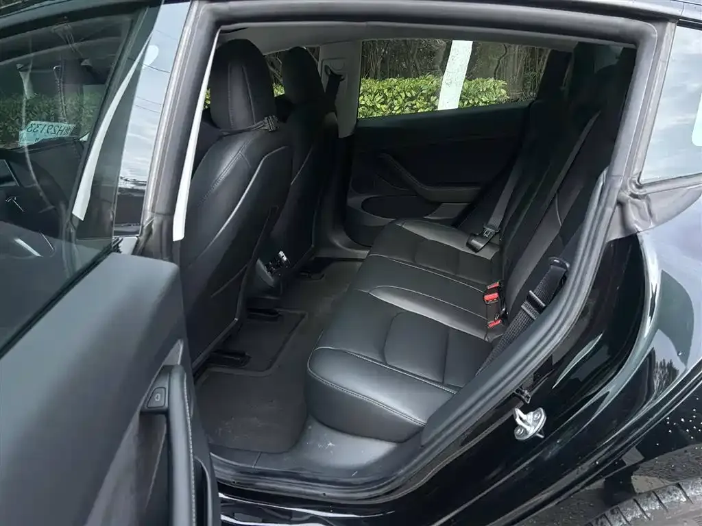 Tesla Model 3 2021 из CN, фото 9