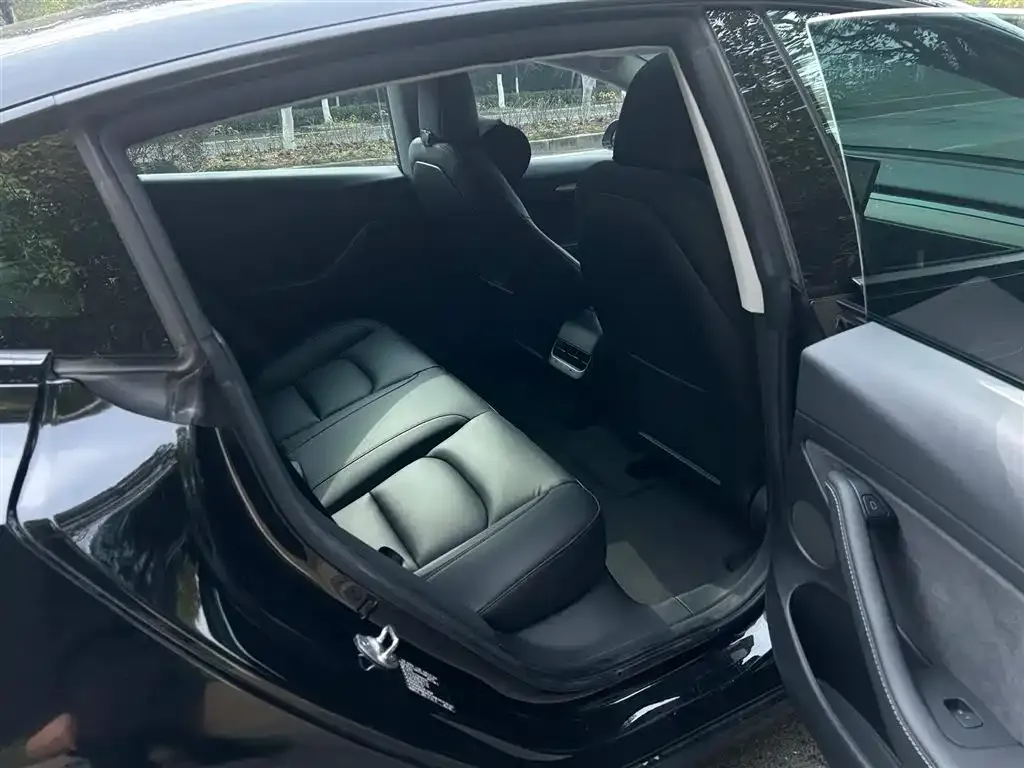 Tesla Model 3 2021 из CN, фото 3