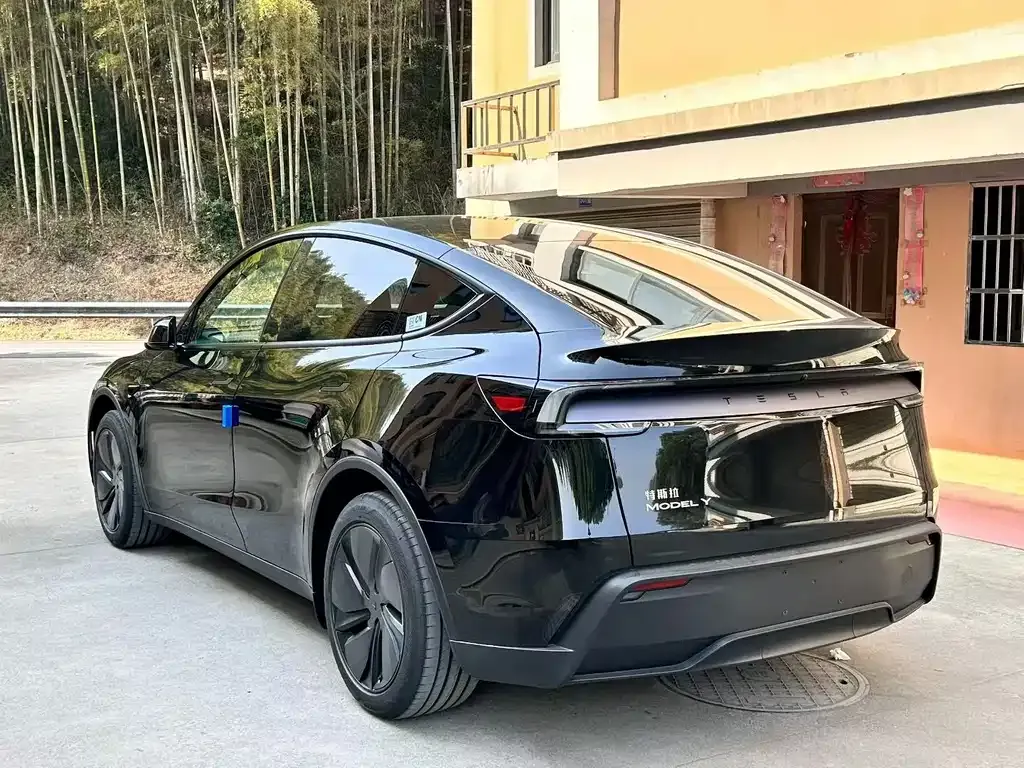 Tesla Model Y — фото 9