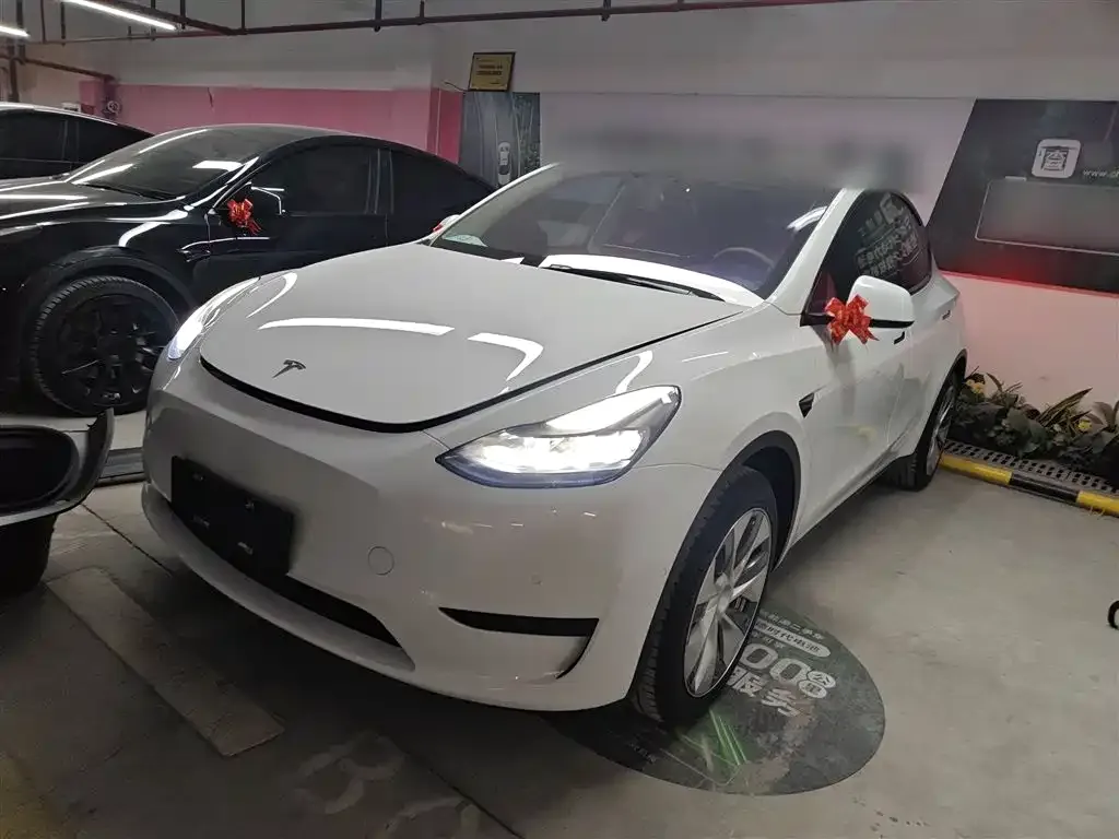 Tesla Model Y — фото 8
