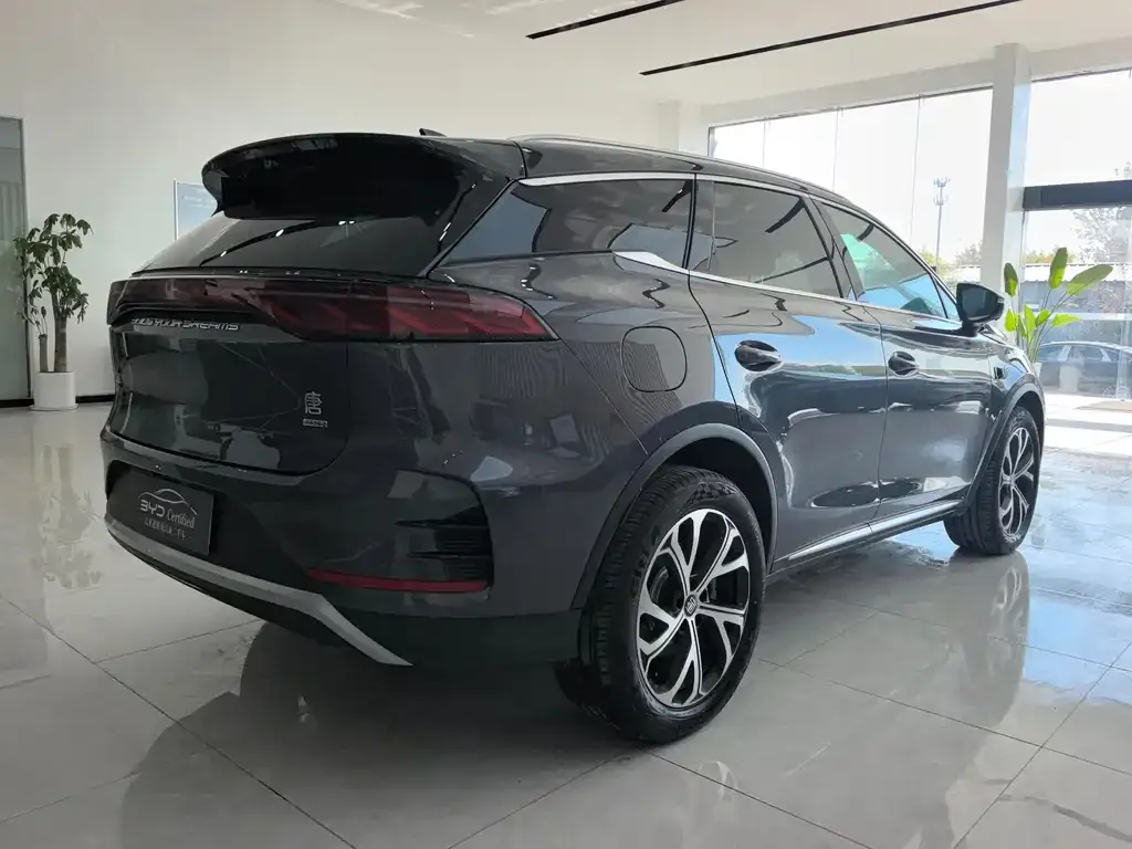 BYD Tang New Energy 2025 из CN, фото 2
