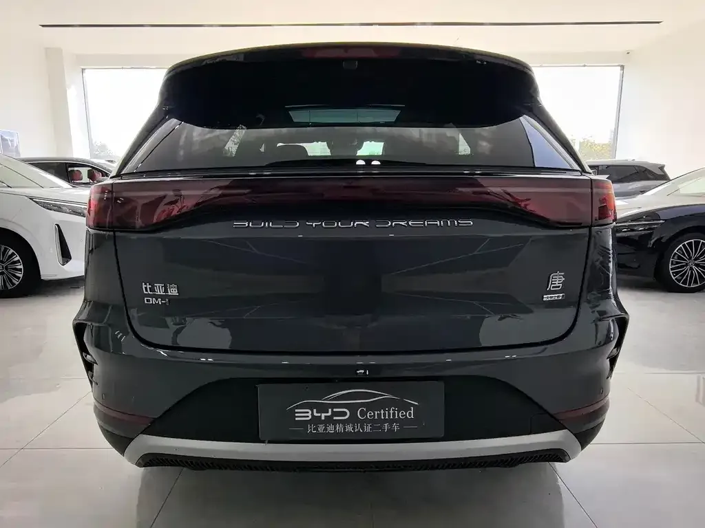 BYD Tang New Energy 2025 из CN, фото 3