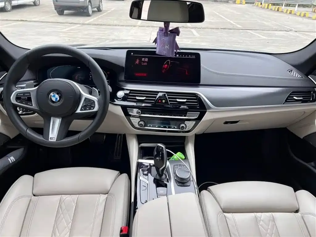 BMW 5 Series (Import) 2023 из CN, фото 9