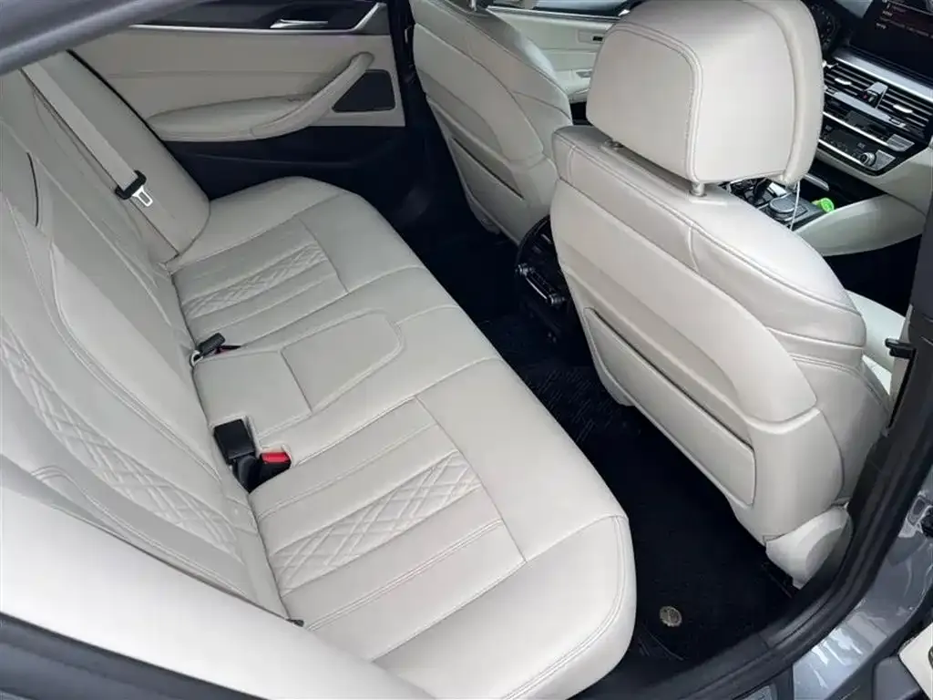 BMW 5 Series (Import) 2023 из CN, фото 7