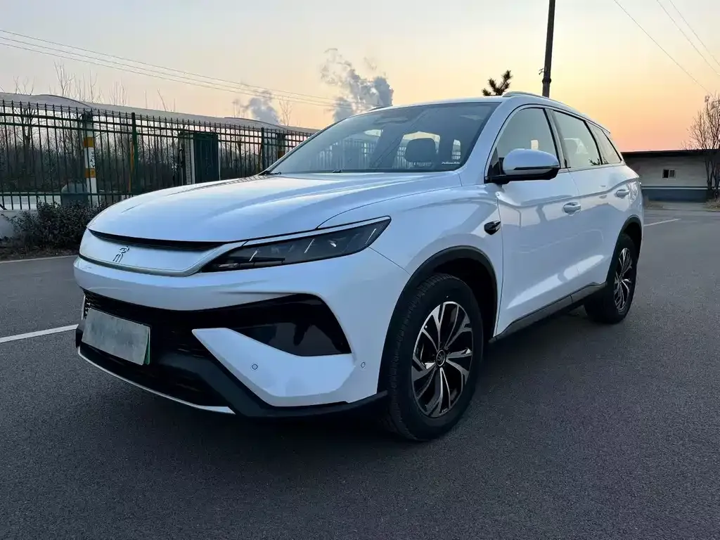 BYD Pro New Energy 2025 из CN, фото 1