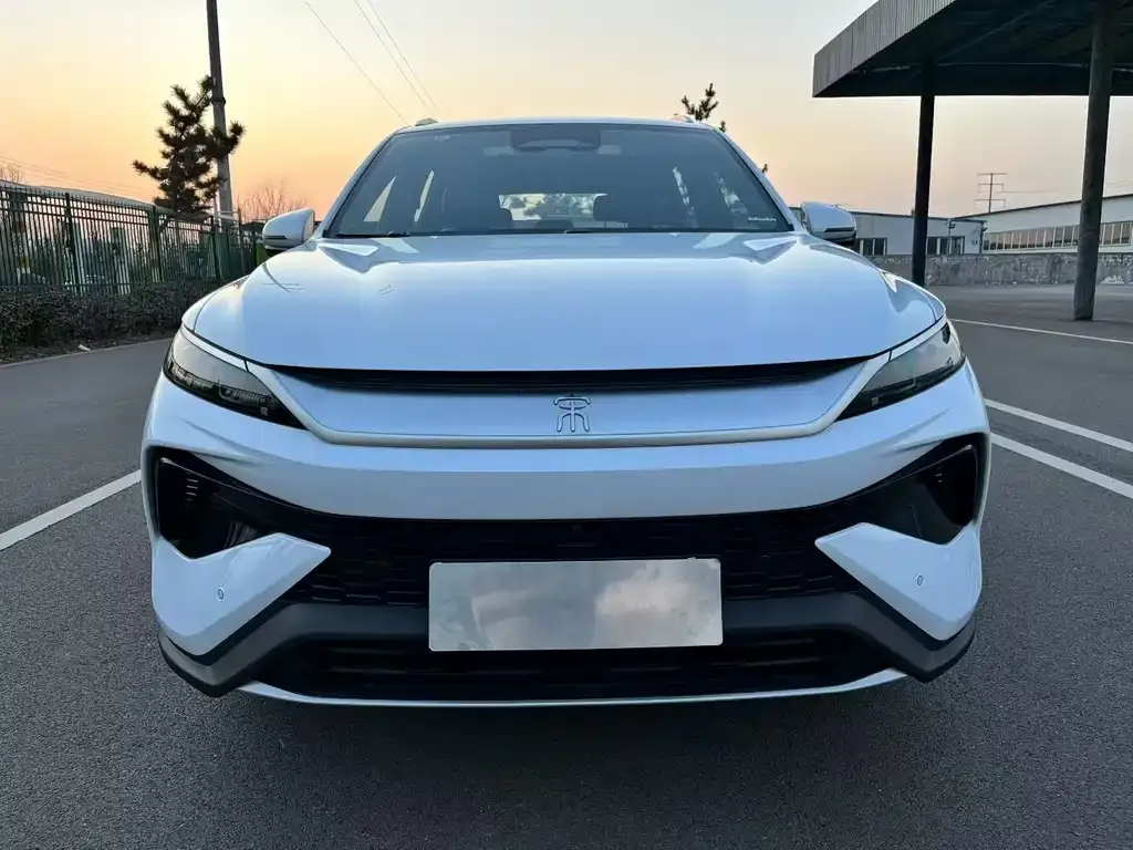 BYD Pro New Energy 2025 из CN, фото 2