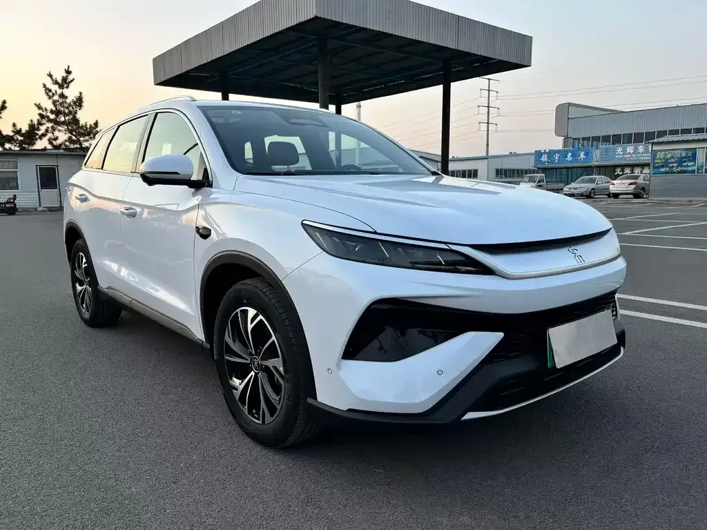 BYD Pro New Energy 2025 из CN, фото 4