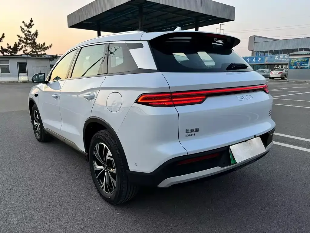 BYD Pro New Energy 2025 из CN, фото 3
