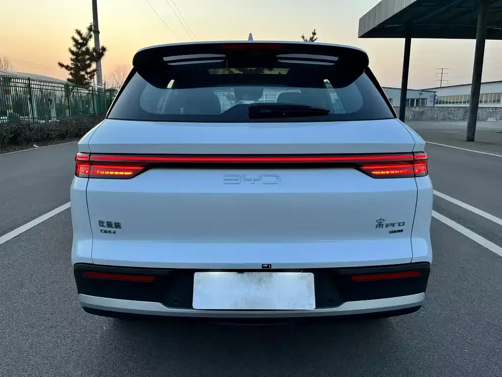 BYD Pro New Energy 2025 из CN, фото 5