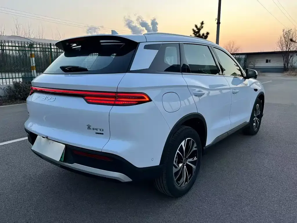 BYD Pro New Energy 2025 из CN, фото 7