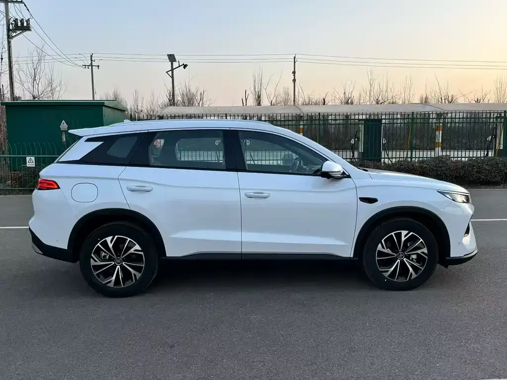 BYD Pro New Energy 2025 из CN, фото 6