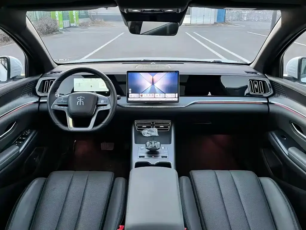 BYD Pro New Energy 2025 из CN, фото 8