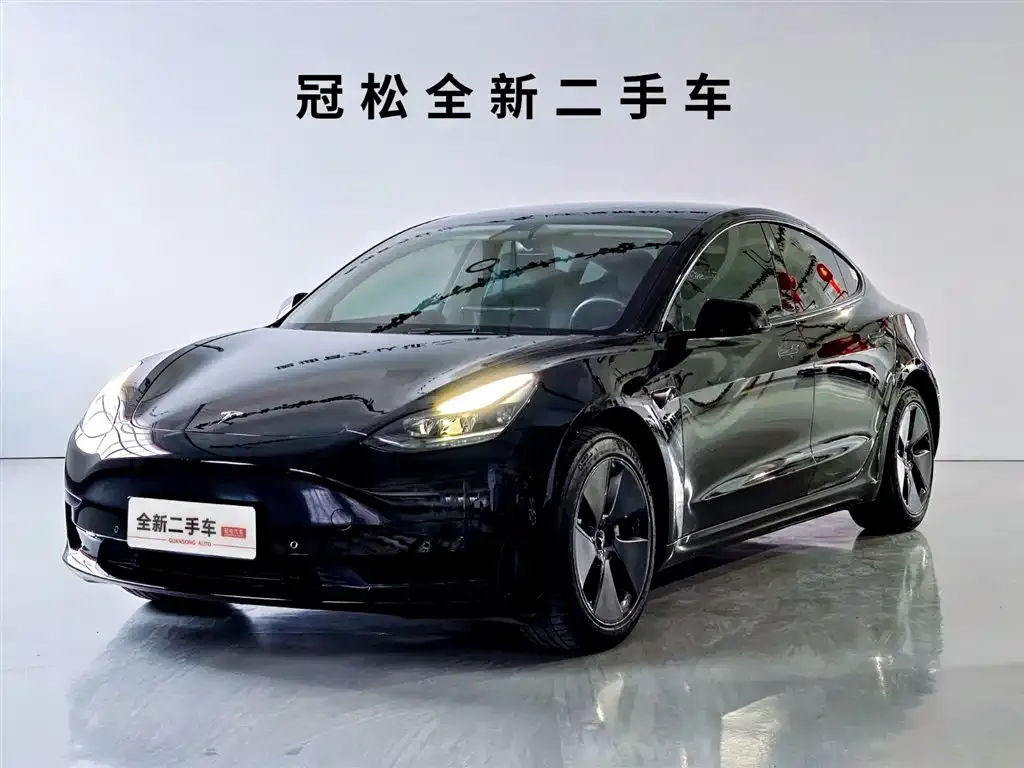 Tesla Model 3 2021 из CN, фото 1