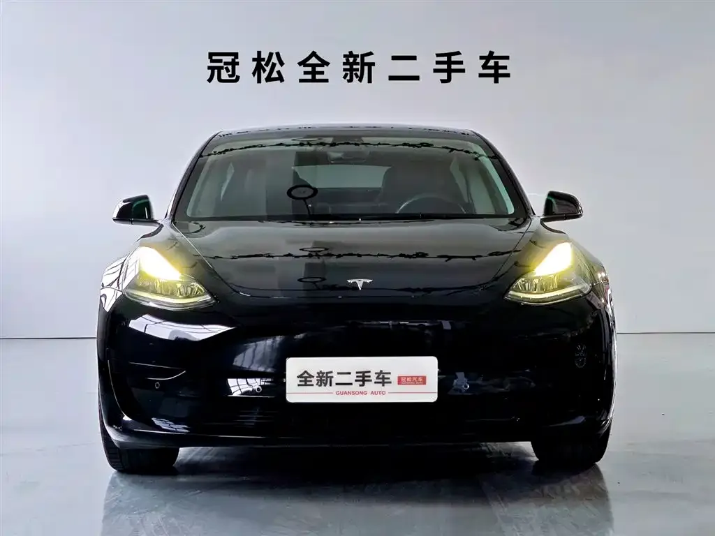 Tesla Model 3 2021 из CN, фото 5