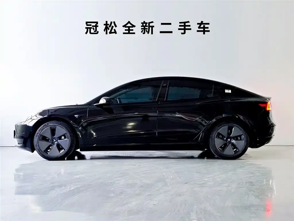 Tesla Model 3 2021 из CN, фото 2