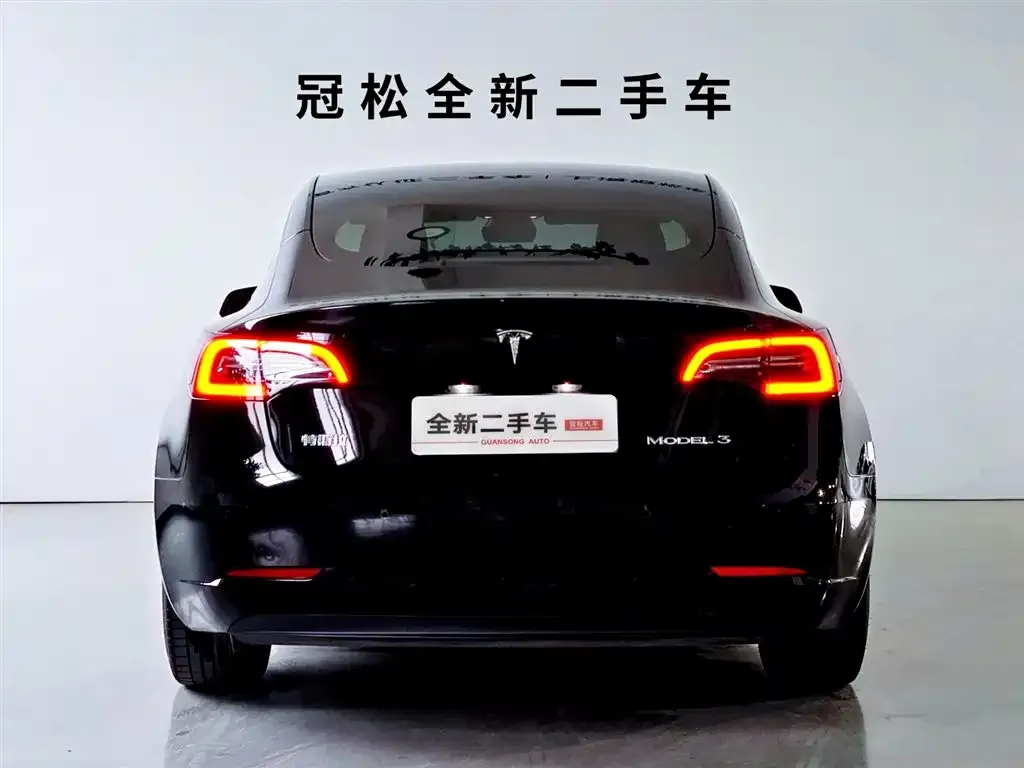 Tesla Model 3 2021 из CN, фото 3