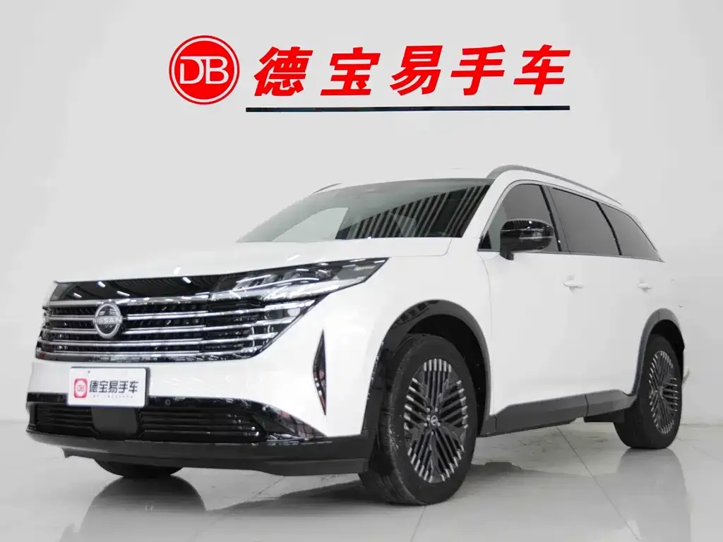 Nissan Teramont 2024 из CN, фото 1