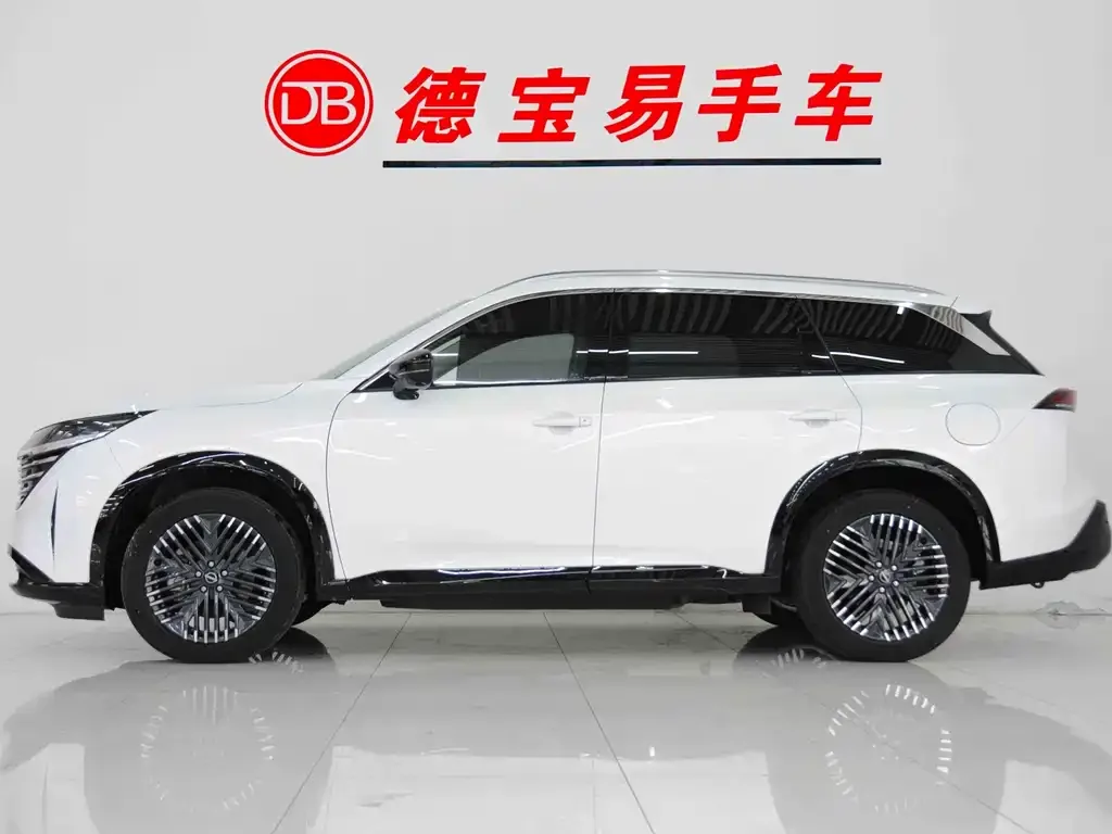 Nissan Teramont 2024 из CN, фото 4