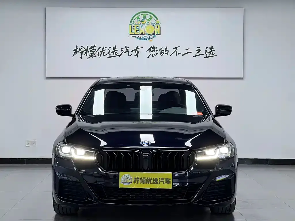 BMW 5 Series New Energy — фото 6
