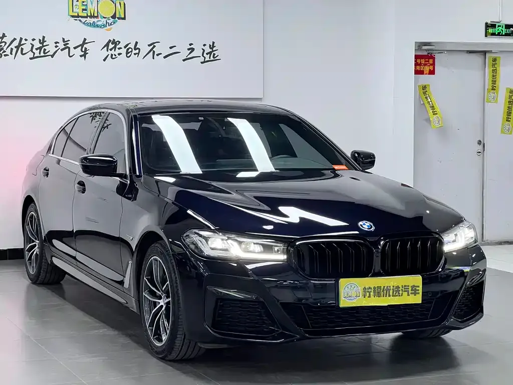 BMW 5 Series New Energy — фото 10