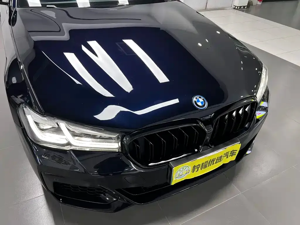 BMW 5 Series New Energy — фото 7