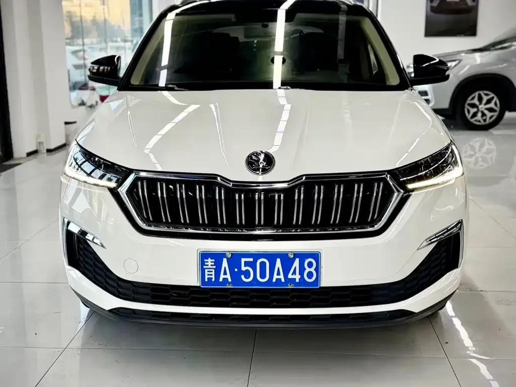 Skoda Kamiq 2022 из CN, фото 6