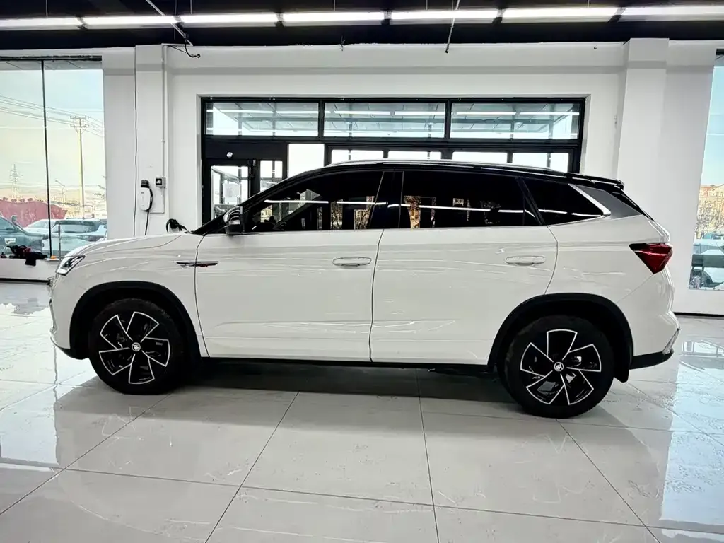 Skoda Kamiq 2022 из CN, фото 7
