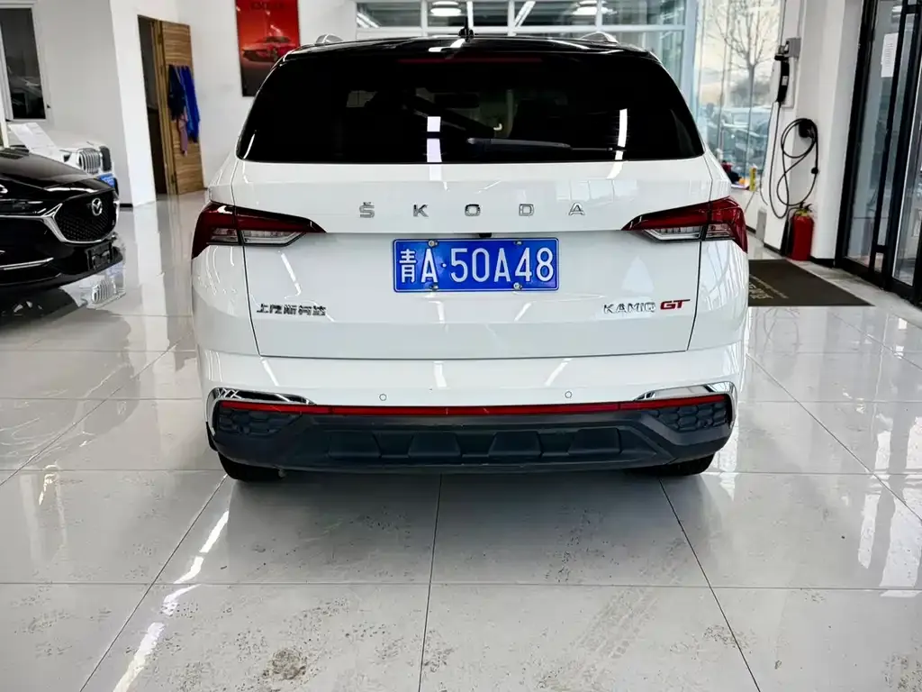 Skoda Kamiq 2022 из CN, фото 3