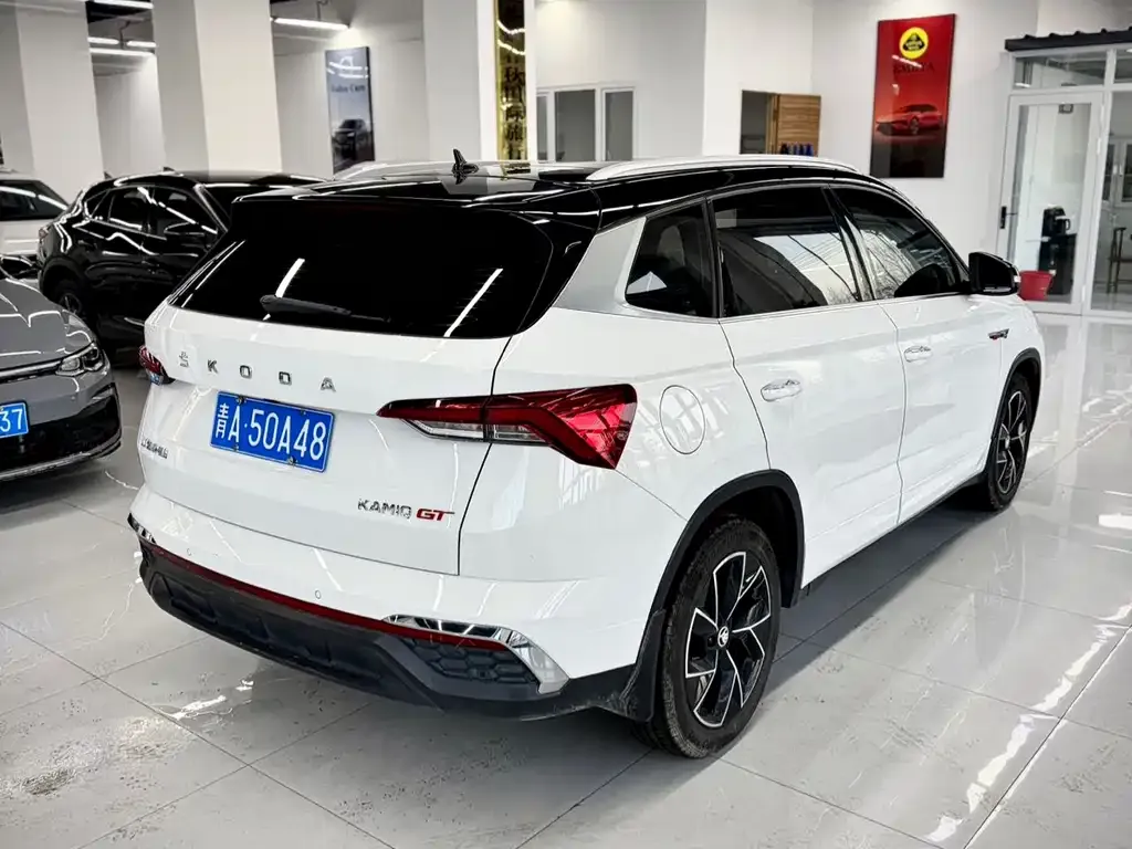 Skoda Kamiq 2022 из CN, фото 8