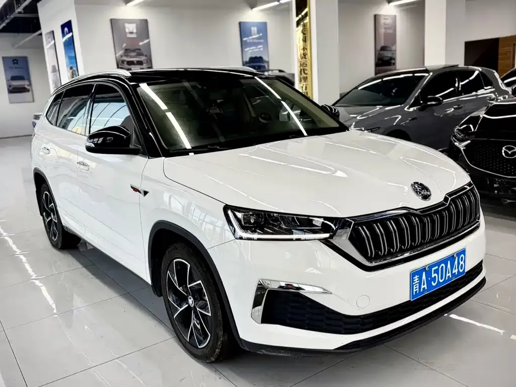 Skoda Kamiq 2022 из CN, фото 5