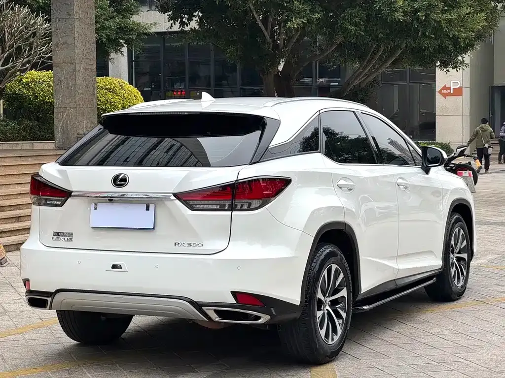 Lexus RX — фото 10