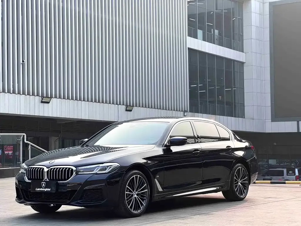 BMW 5 Series 2023 из CN, фото 1