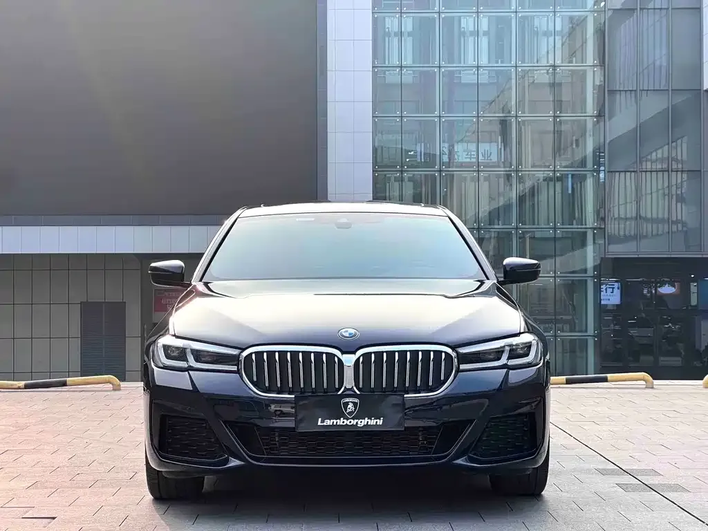 BMW 5 Series 2023 из CN, фото 5
