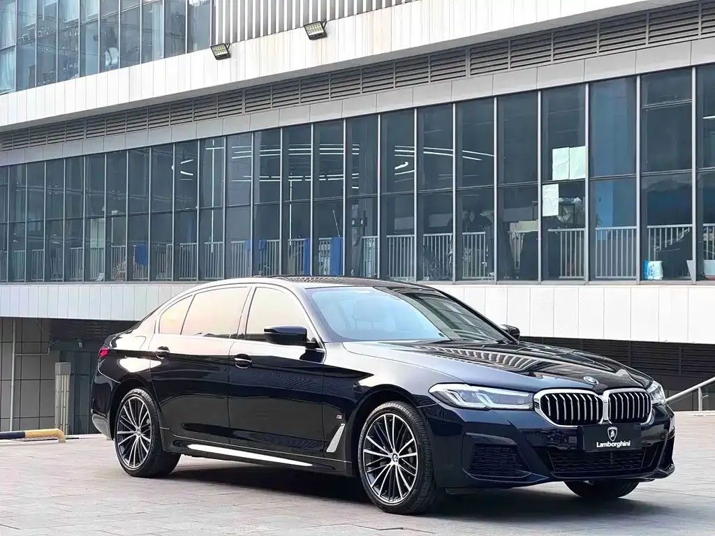 BMW 5 Series 2023 из CN, фото 8