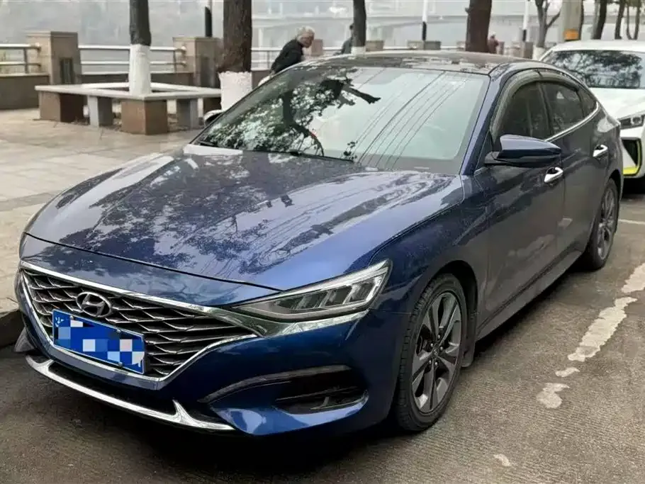 Hyundai Fista — фото 1