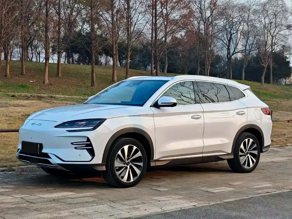 BYD PLUS New Energy — фото 1