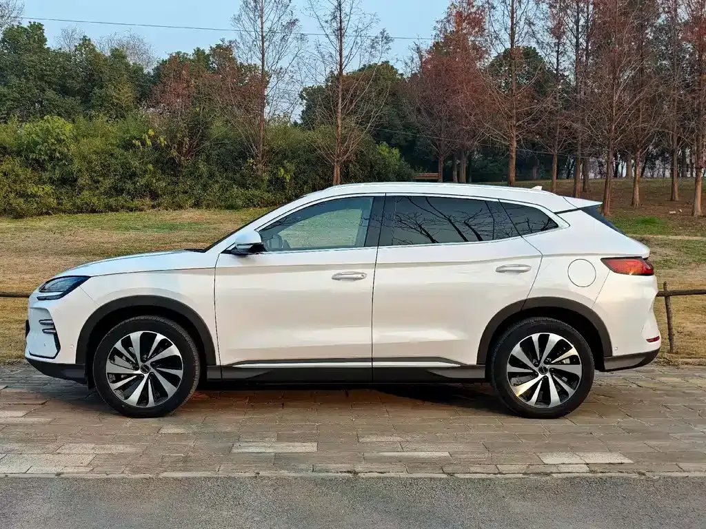 BYD PLUS New Energy — фото 3