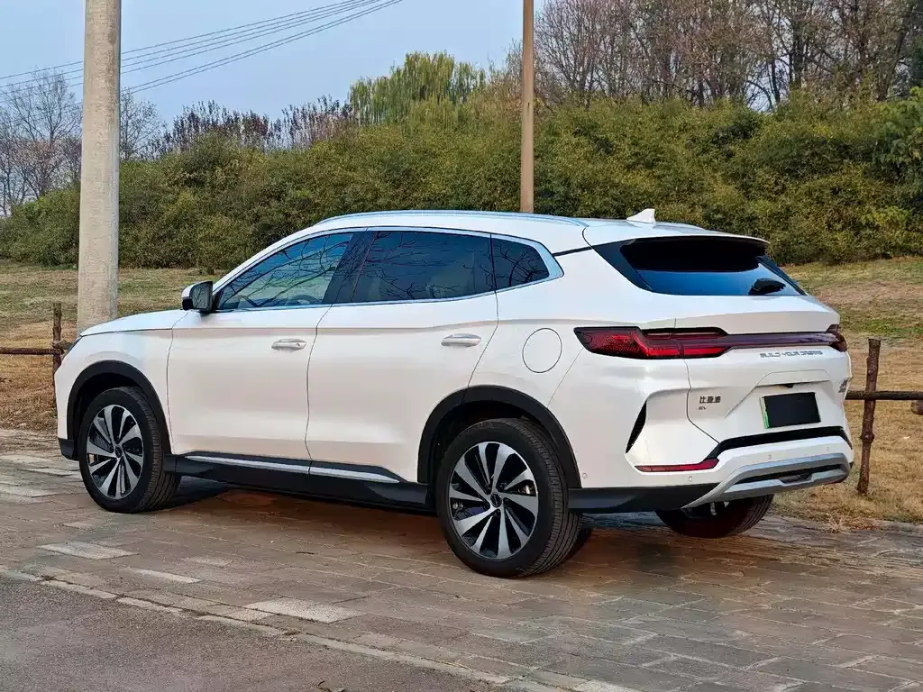 BYD PLUS New Energy — фото 8