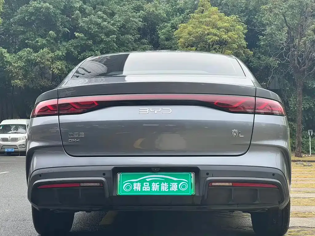 BYD Qin L 2024 из CN, фото 8