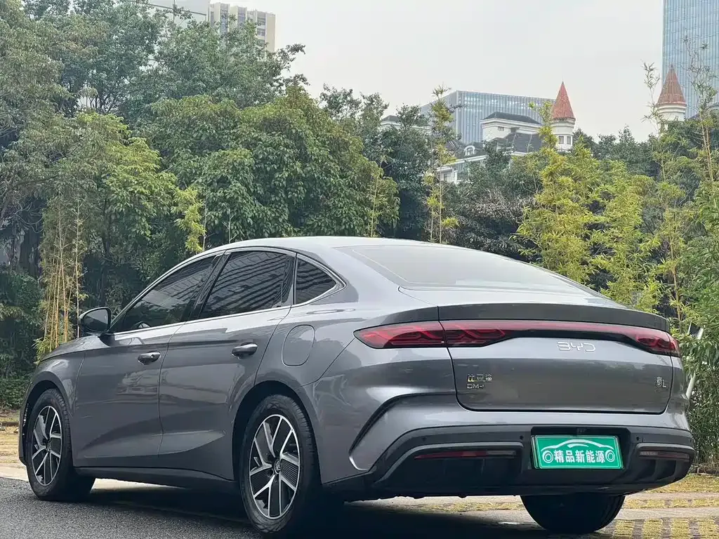 BYD Qin L 2024 из CN, фото 10