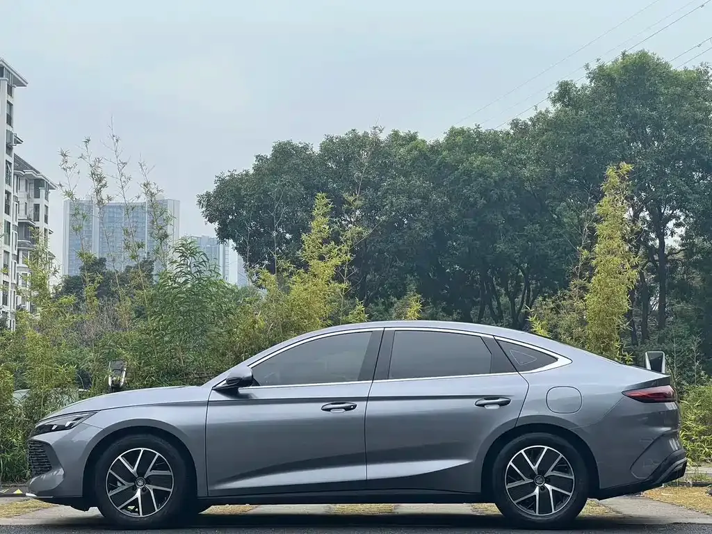 BYD Qin L 2024 из CN, фото 6