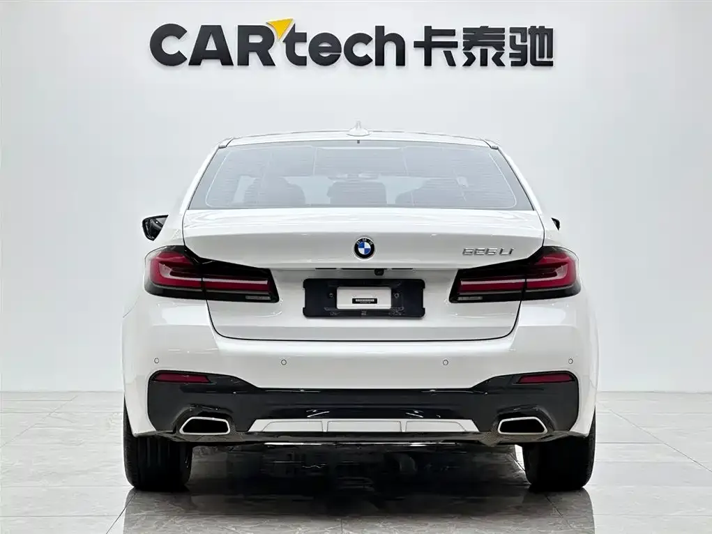BMW 5 Series 2021 из CN, фото 3