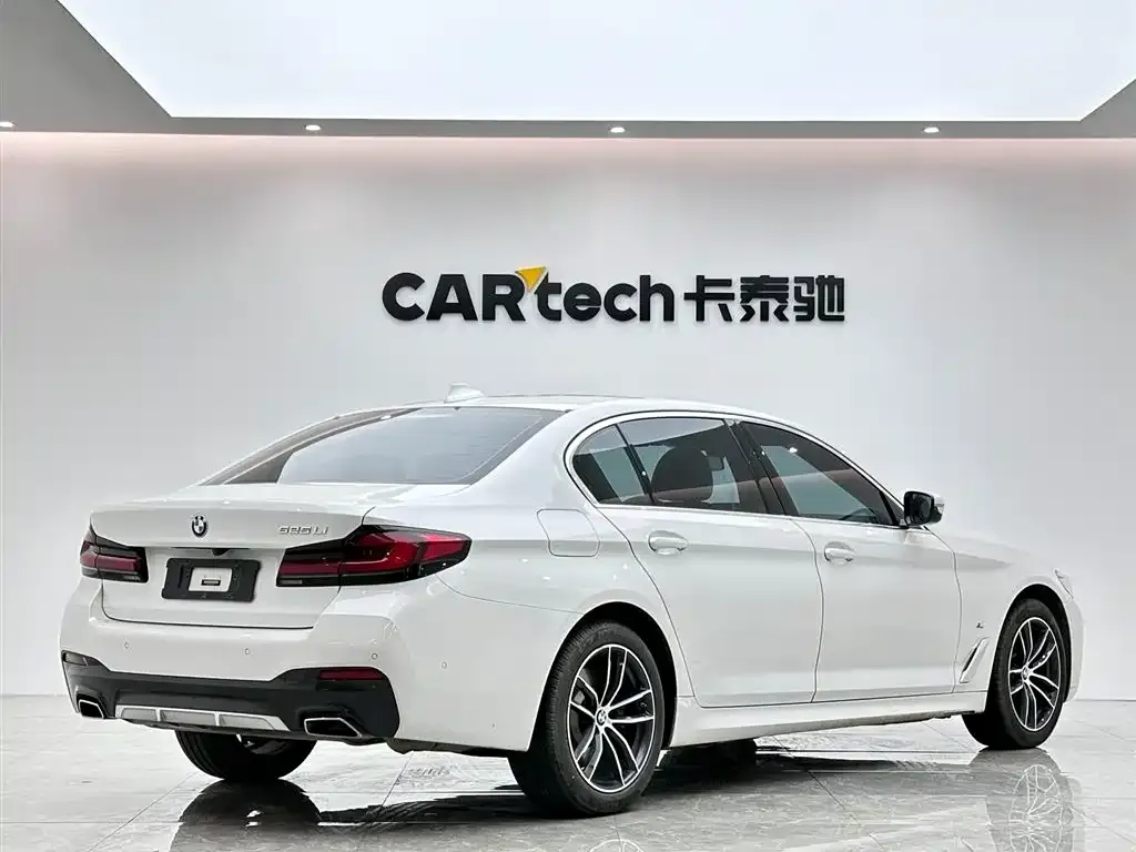 BMW 5 Series 2021 из CN, фото 8
