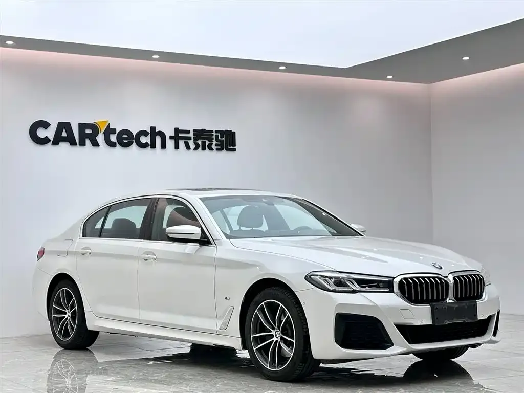 BMW 5 Series 2021 из CN, фото 7