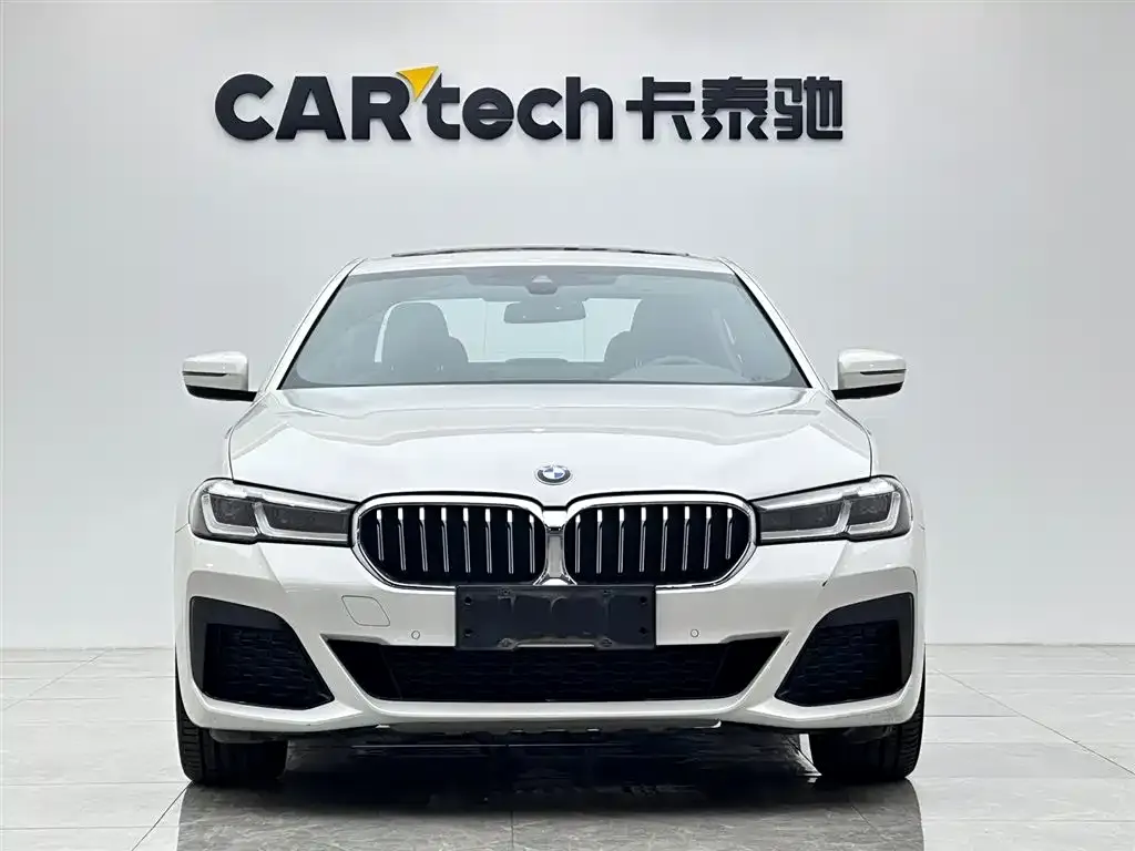 BMW 5 Series 2021 из CN, фото 4