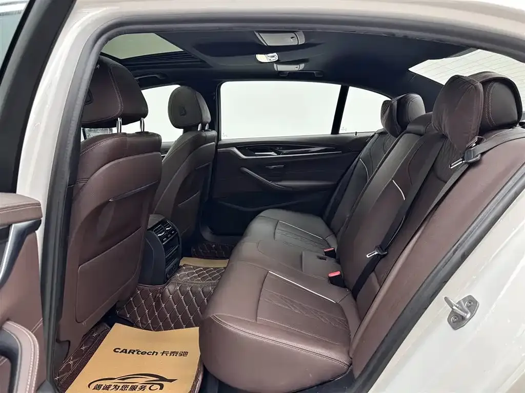 BMW 5 Series 2021 из CN, фото 9