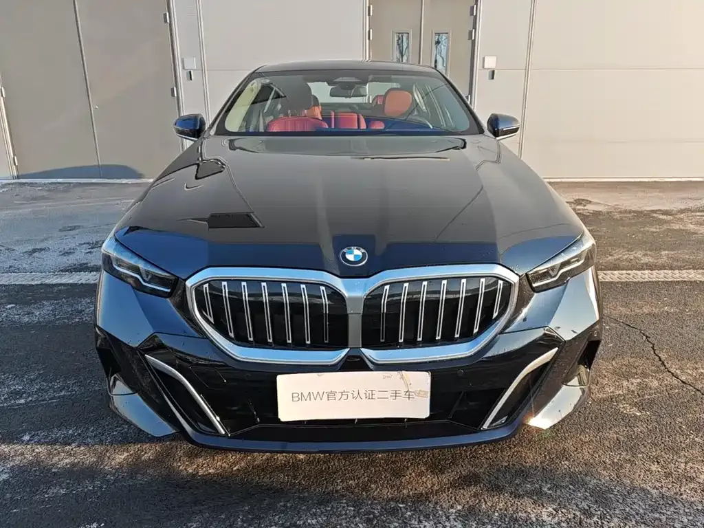 BMW 5 Series 2025 из CN, фото 9