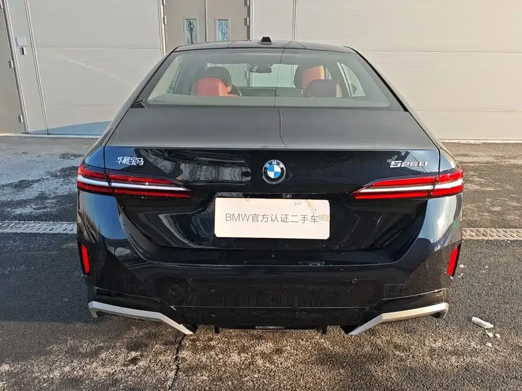 BMW 5 Series 2025 из CN, фото 5